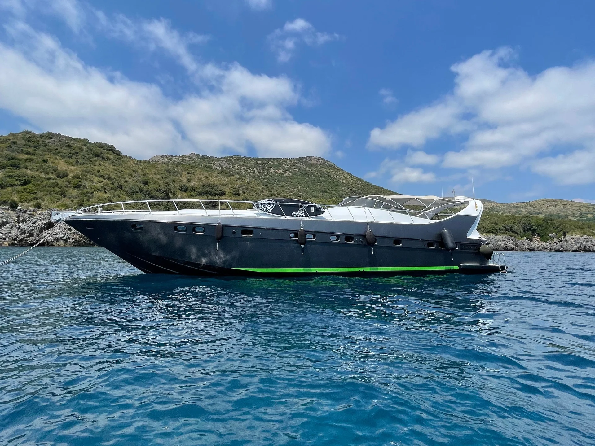 Mangusta 65